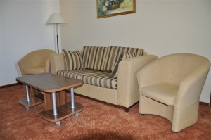 Metalcom – Alege canapeaua care se potriveste locuintei tale!