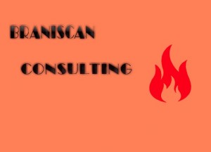 Care sunt masurile PSI de care nu trebuie sa uitati– Braniscan Consulting