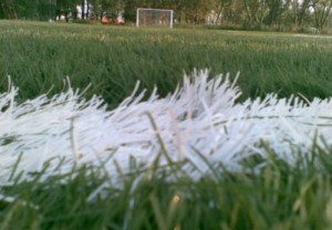 Vrei sa oferi sportivilor conditii excelente atunci cand se afla pe terenul de sport? Iata ce trebuie sa faci – EuroCat