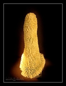 lingam