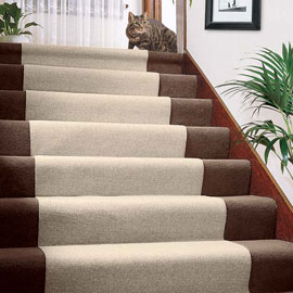 mocheta trafic intens