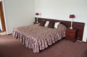 Pensiunea-Ghiocelul Avrig