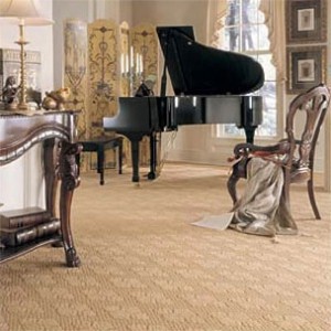 mocheta trafic intens