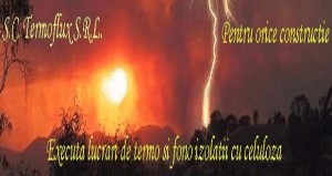 Termoflux
