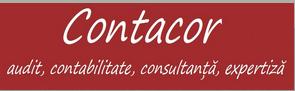 Contabilitatea-firmei-zW6b2