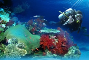Scuba Diver Constanta