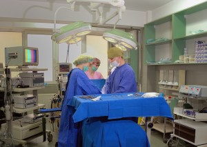 GynecoLand trateaza bolile genitale si mamare