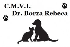 Cabinet veterinar pentru cel mai bun prieten al tau1