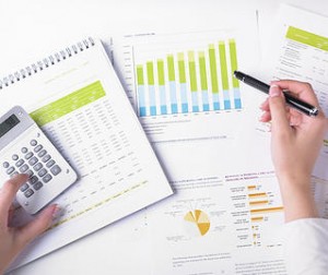 Rapoarte de bonitate pentru siguranta in afaceri!1